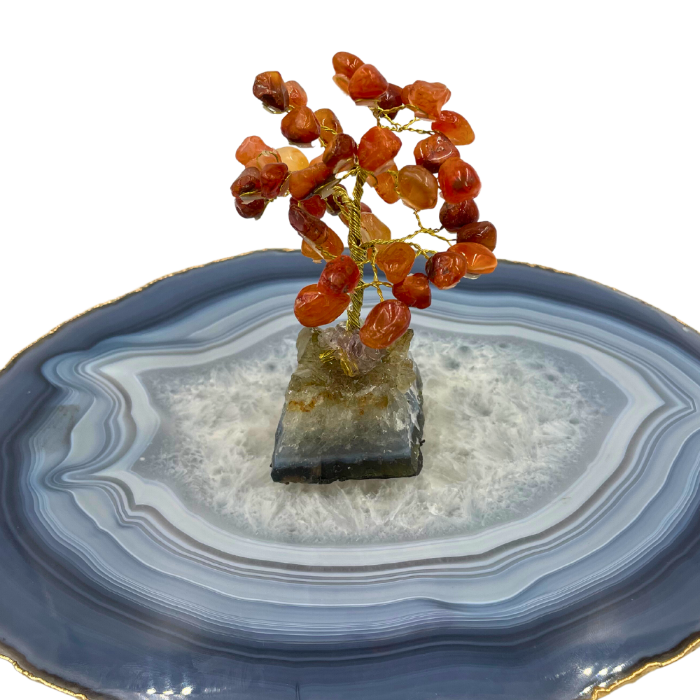 Árvore de Cristal 2 - Base Cornalina