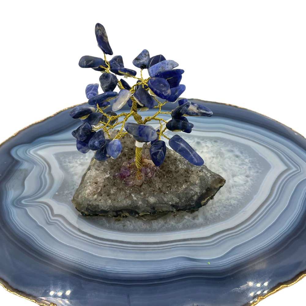 Árvore de Cristal 2 - Sodalita - Base