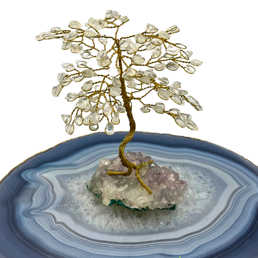 Árvore de Cristal P12 - Base - Cristal