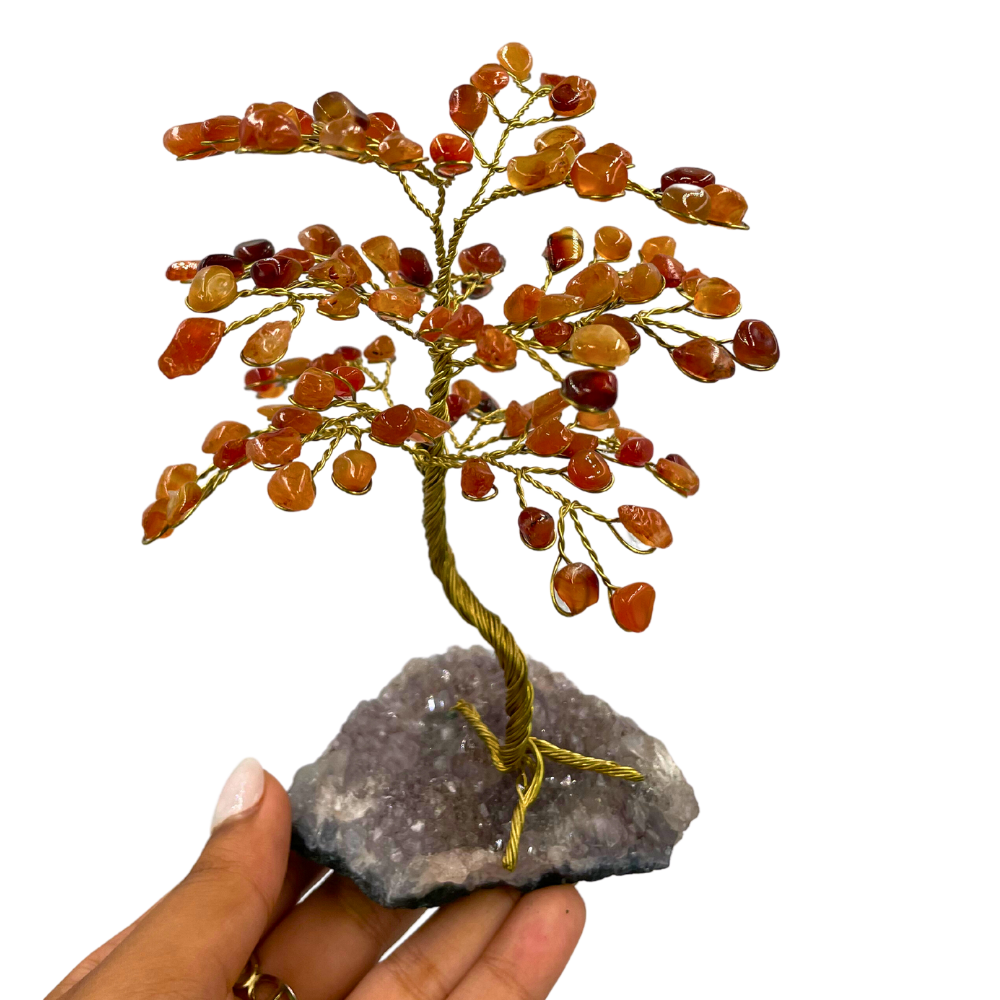 Árvore de Cristal P12 - Cornalina