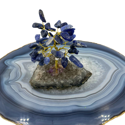 Árvore de Cristal 2 - Sodalita - Base