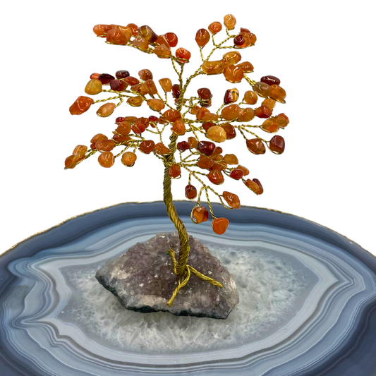Árvore de Cristal P12 - Base - Cornalina