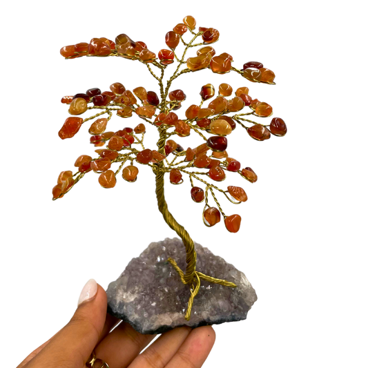 Árvore de Cristal P12 - Cornalina