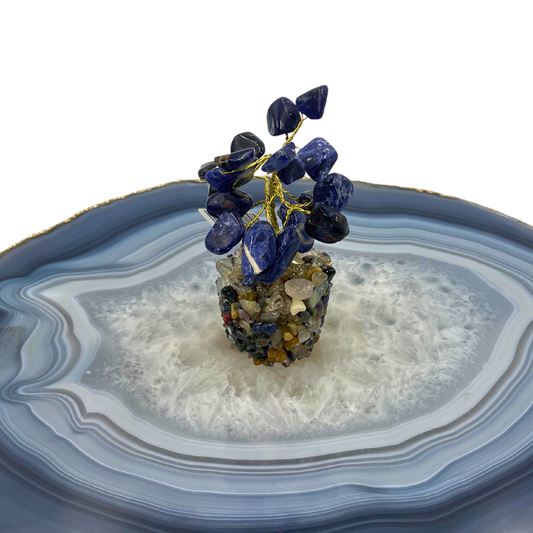 Árvore de Cristal 1 Sodalita Base
